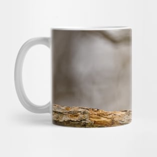 Red Squirrel Mug